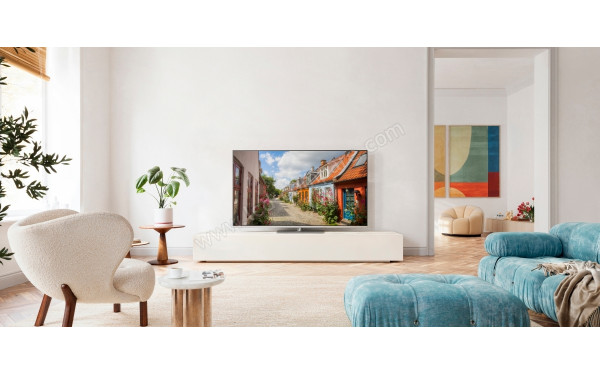 PANASONIC TV-50W93BE6 - Mise en situation