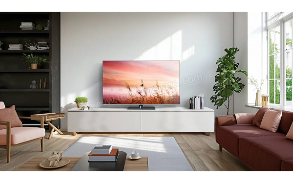PANASONIC TV-55W83AE6 - Mise en situation