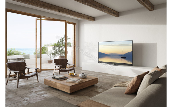 PANASONIC TV-55Z90AEG - Mise en situation