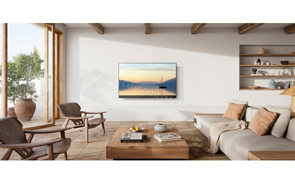 PANASONIC TV-65Z90AEG - Mise en situation