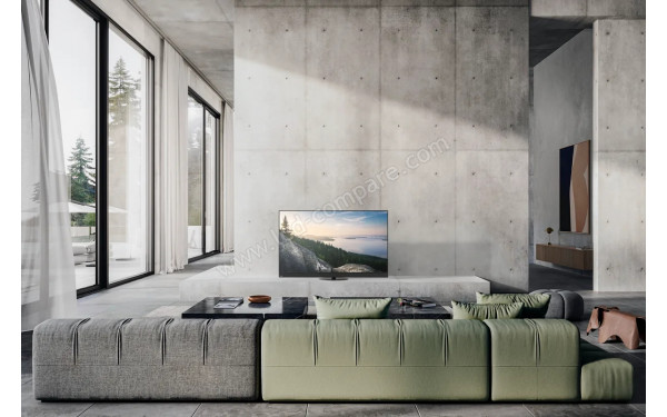 PANASONIC TV-65Z90BE6 - Mise en situation