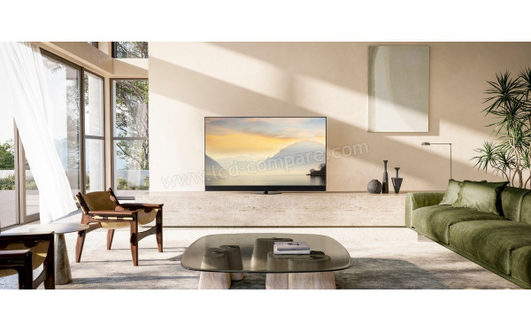 PANASONIC TV-65Z95AEG - Mise en situation