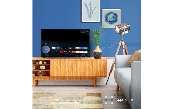 PANASONIC TX-32MS360E - Mise en situation