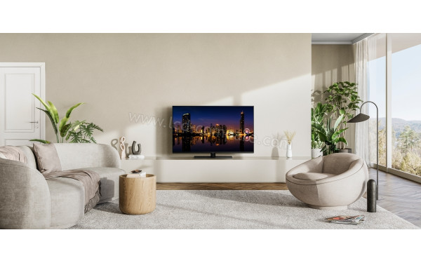 PANASONIC TX-48MZ1500E - Mise en situation