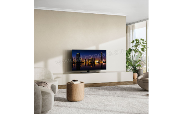 PANASONIC TX-48MZ1500E - Mise en situation