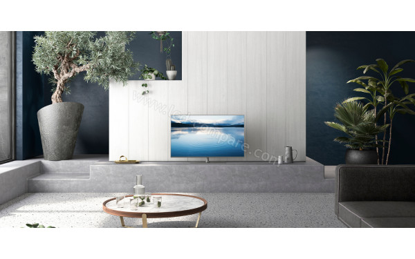 PANASONIC TX-49JX970E - Mise en situation