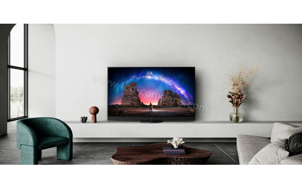 PANASONIC TX-55LZ2000 - Mise en situation