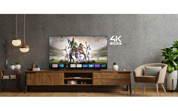 PANASONIC TX-55MX610E - Mise en situation