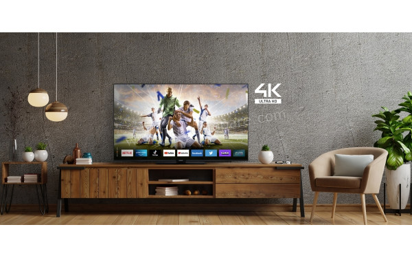 PANASONIC TX-65MX600E - Mise en situation