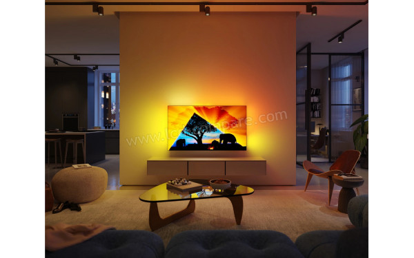 PHILIPS 48OLED759 - Mise en situation