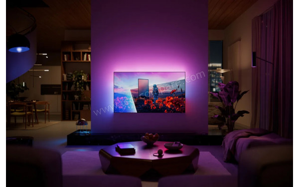 PHILIPS 48OLED811 - Mise en situation