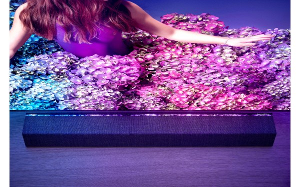 PHILIPS 55OLED934 - Zoom sur la partie basse