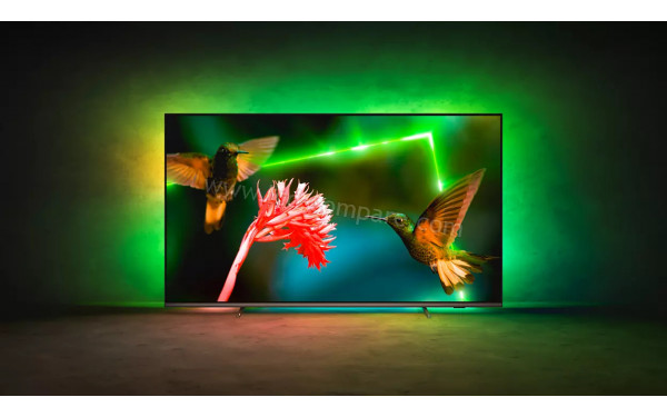 PHILIPS 55PML9507 - Mise en situation