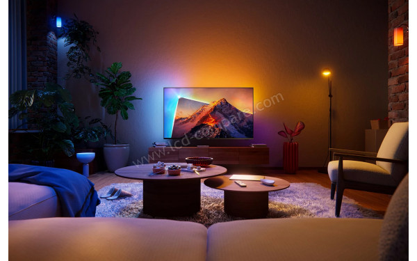 PHILIPS 55PQS8631 - Mise en situation