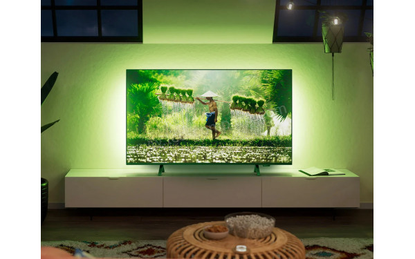 PHILIPS 65PUS8349 - Mise en situation