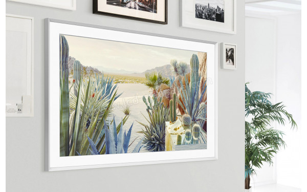 SAMSUNG GQ50LS03AAUXZG - Mise en situation