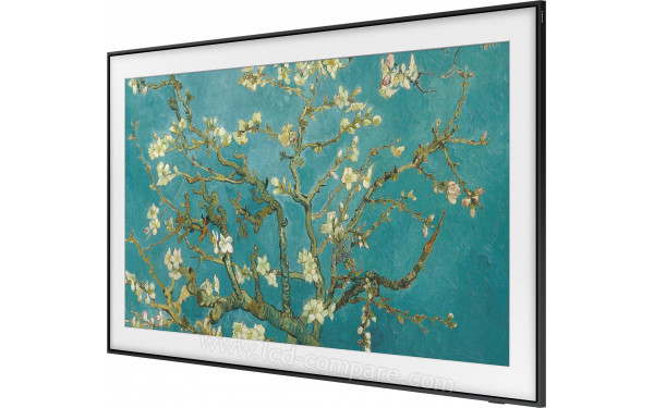 SAMSUNG The Frame GQ55LS03BGUXZG - Vue 3/4 droite
