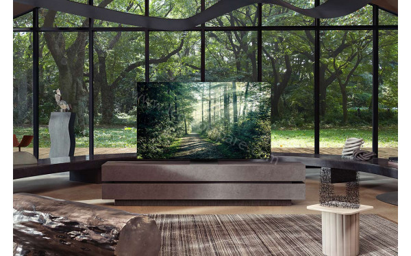 SAMSUNG GQ65QN900ATXZG - Mise en situation