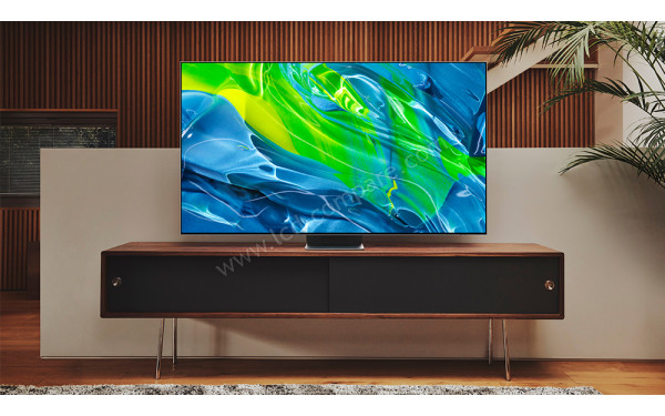 SAMSUNG GQ65S95BATXZG - Mise en situation