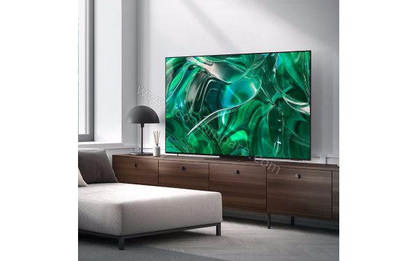 SAMSUNG GQ65S95CATXZG - Mise en situation