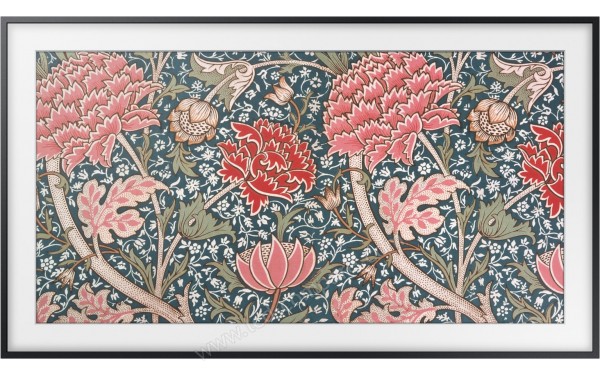 SAMSUNG QE49LS03RAUXZT - Vue de face sans les pieds