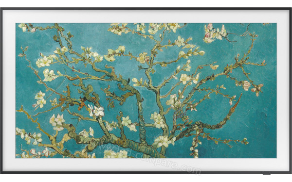 SAMSUNG The Frame QE50LS03BGUXXH - Vue de face
