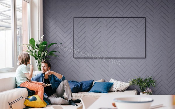 SAMSUNG The Frame QE55LS03T - Mise en situation ave cle mode Ambiant+