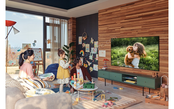 SAMSUNG QE55Q80A - Mise en situation