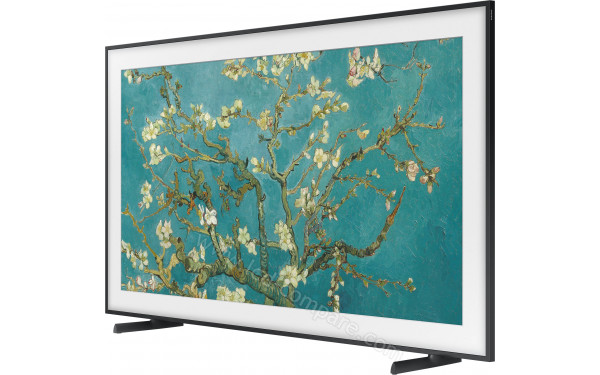 SAMSUNG The Frame TQ55LS03B - Vue 3/4 droite