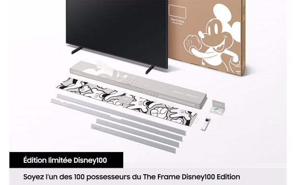SAMSUNG The Frame TQ65LS03BS Disney100 Ed. - Accessoires