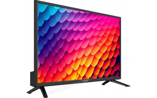 SCHNEIDER GMS24N100 - Vue 3/4 gauche