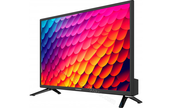 SCHNEIDER GMS24N100 - Vue 3/4 droite