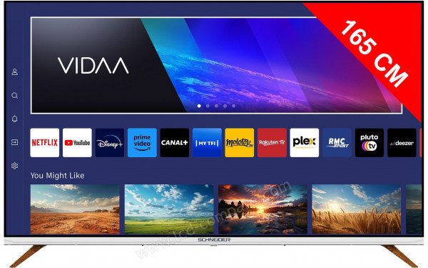 SCHNEIDER GMS65F1 - Vue de face