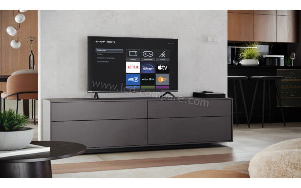 SHARP 43GD2225E - Mise en situation