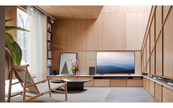 SHARP 49BN3EA - Mise en situation