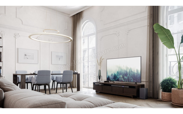 SHARP 50BN6EA - Mise en situation