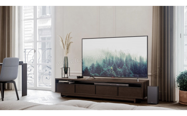 SHARP 55BL6EA - Mise en situation