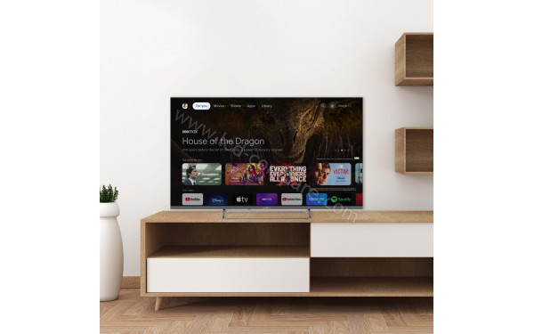 SMART-TECH 55UG02V - Mise en situation