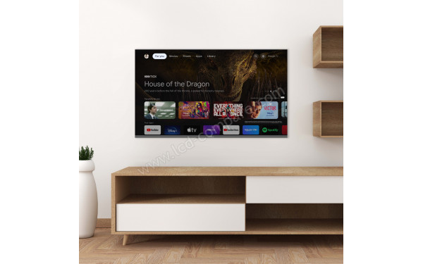 SMART-TECH 55UG02V - Mise en situation