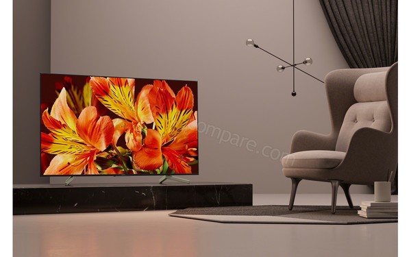 SONY KD-49XF8596 - Mise en situation