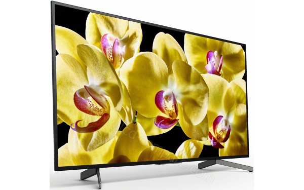 SONY KD-49XG8096 - Vue 3/4 gauche