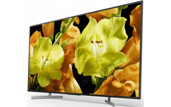 SONY KD-49XG8196 - Vue 3/4 droite