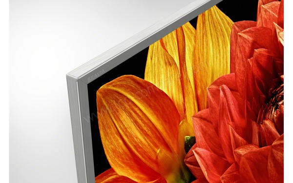 SONY KD-49XG8377 - Zoom sur le coin sup&eacute;rieur gauche