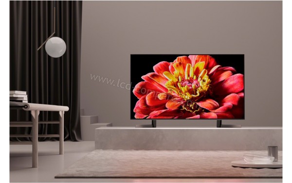SONY KD-49XG9005 - Mise en situation