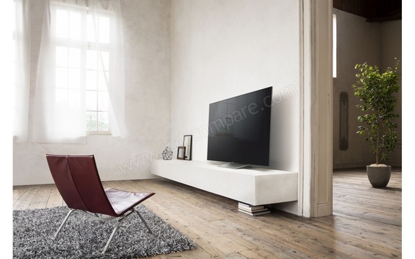 SONY KD-55XD9305 - Mise en situation