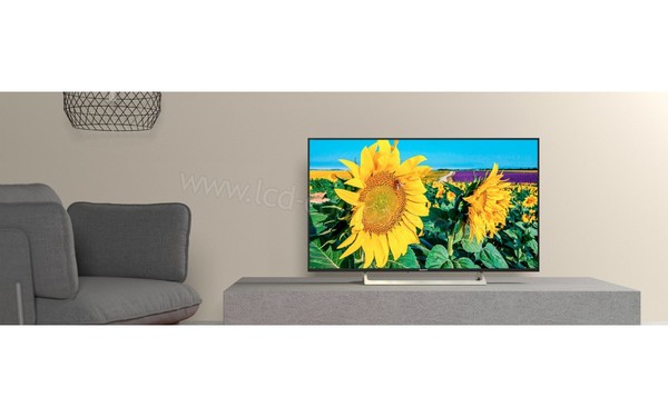 SONY KD-55XF8096 - Mise en situation