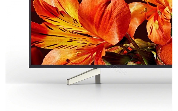 SONY KD-55XF8505 - Zoom sur la partie basse
