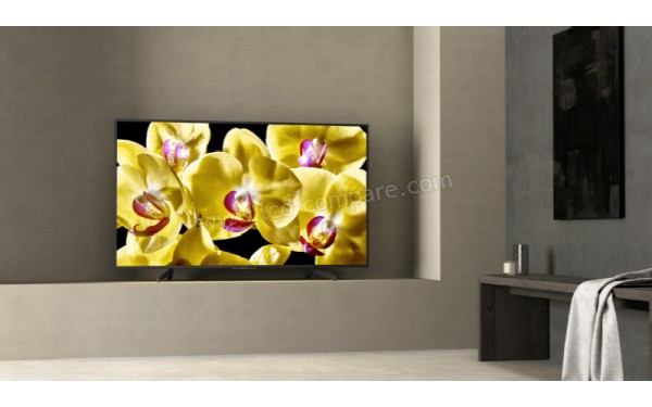 SONY KD55XG7996 - Mise en situation