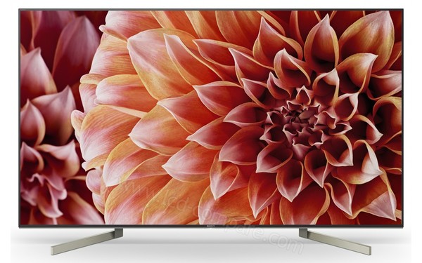 SONY KD-65XF9005 - Vue de face