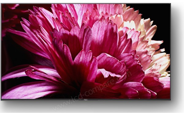 SONY KD-65XG9505 - Vue de face sans pieds